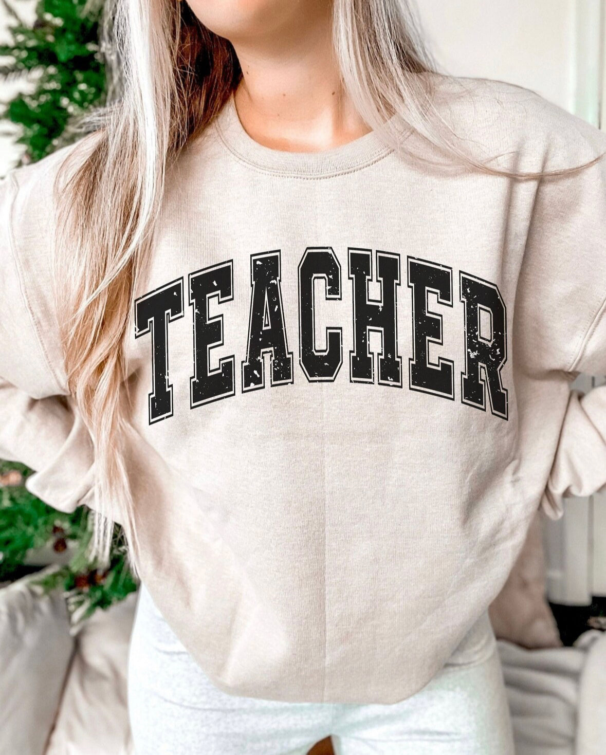 Teacher